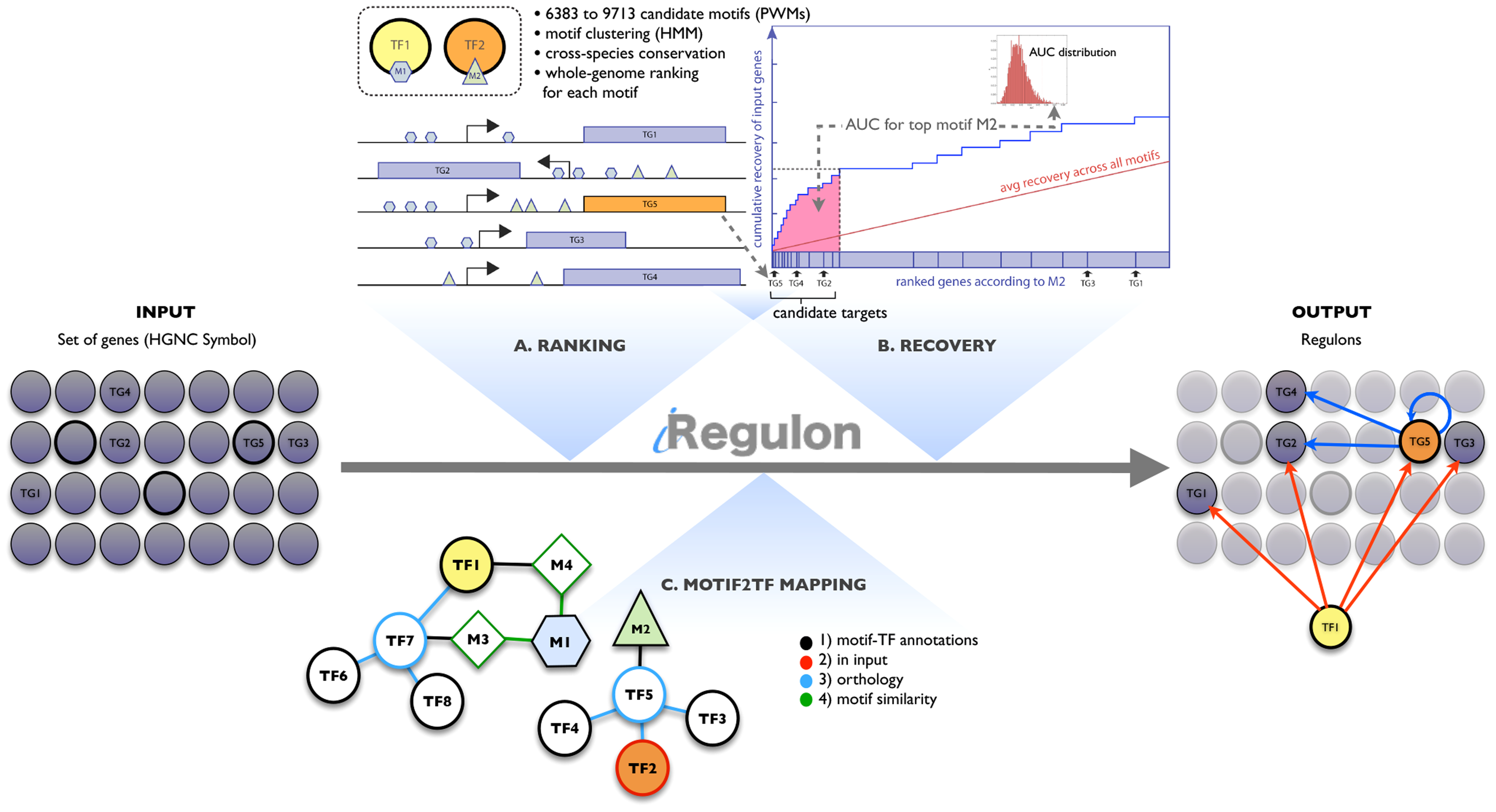 Figure 1 Regulon detection by rank-based motif discovery and motif2TF.